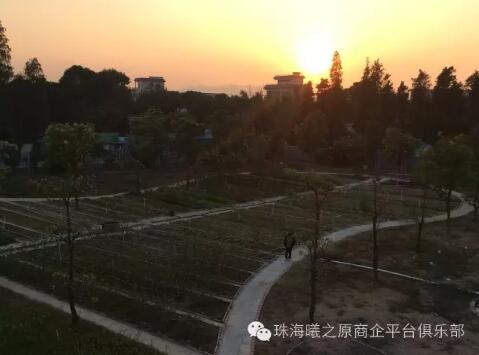 1512634492678042190.jpg 23.jpg