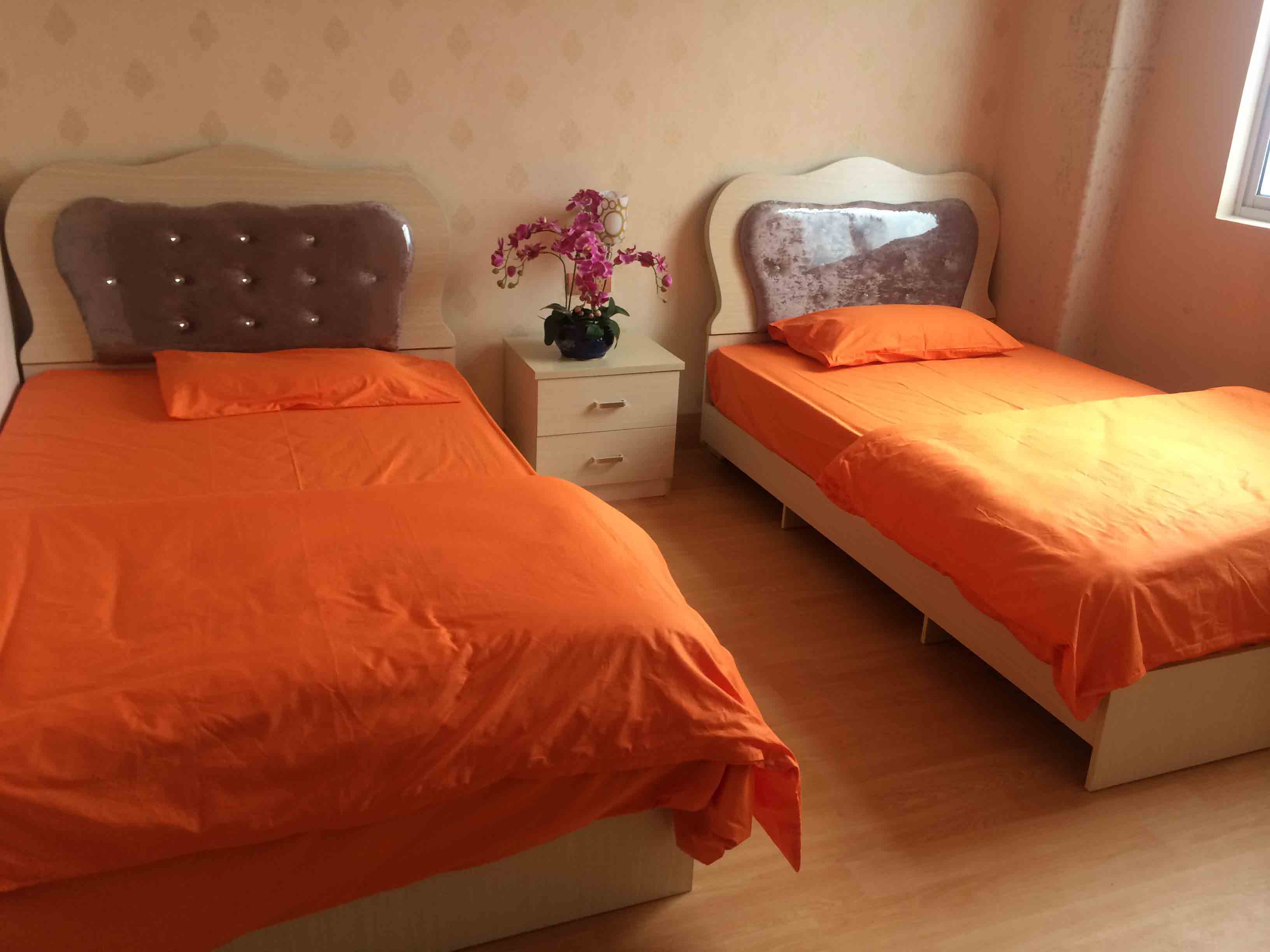 1513475759276055044.jpg 1513475759276055044.jpg