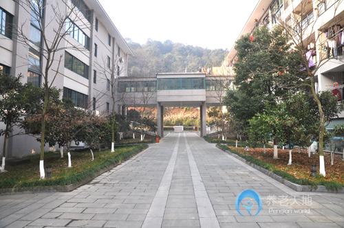 1515030348666032645.jpg 2017072032677.jpg