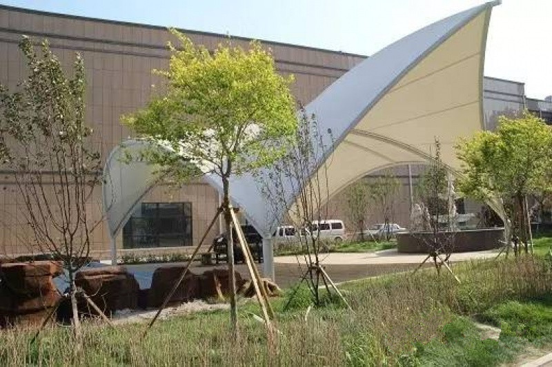 1515118630761098263.jpg 1515118630761098263.jpg