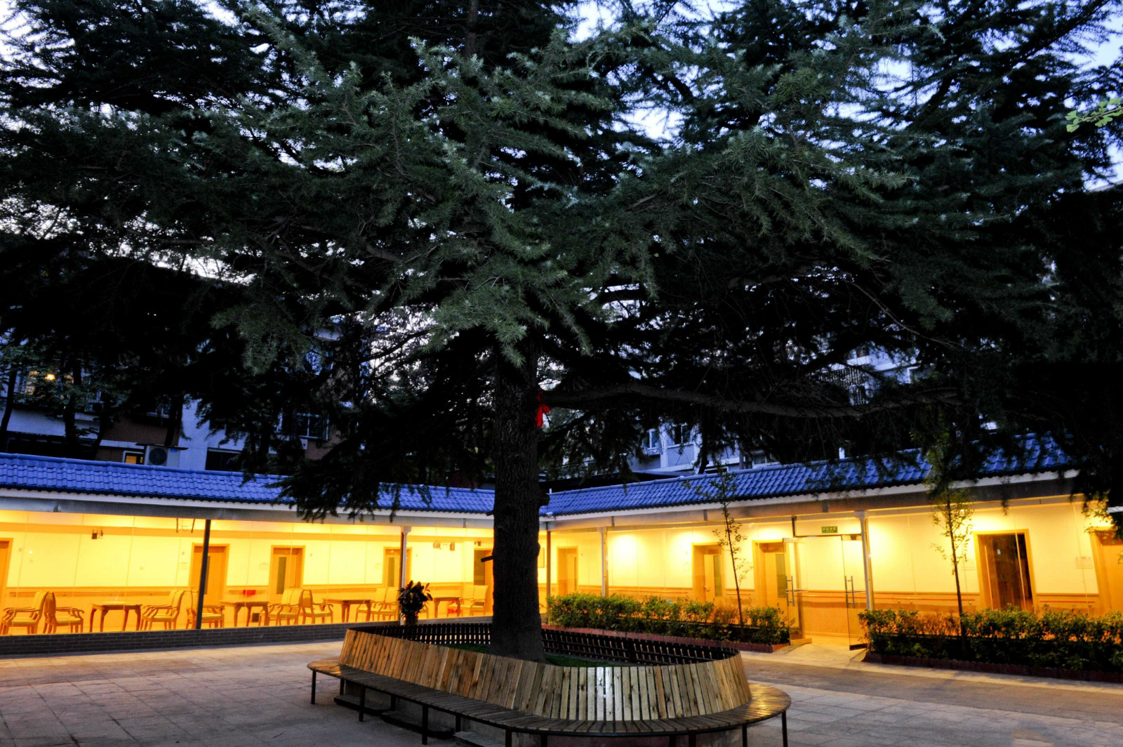 1515204554787043881.jpg 1515204554787043881.jpg