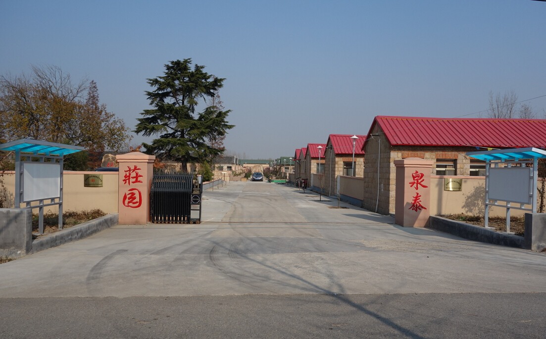 1515550163944000993.jpg 1515550163944000993.jpg