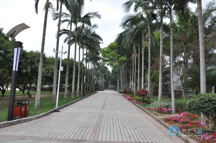 1515810847155093879.jpg 1515810847155093879.jpg