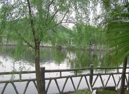 1516152830074061032.jpg 2017102622125.jpg