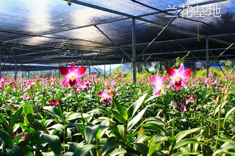 1517713144909007658.jpg 1517713144909007658.jpg