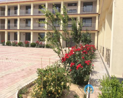 1518228043800097555.jpg 1518228043800097555.jpg