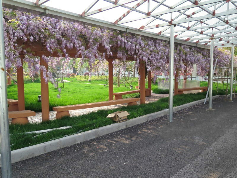 1518420227782050246.jpg 1518420227782050246.jpg