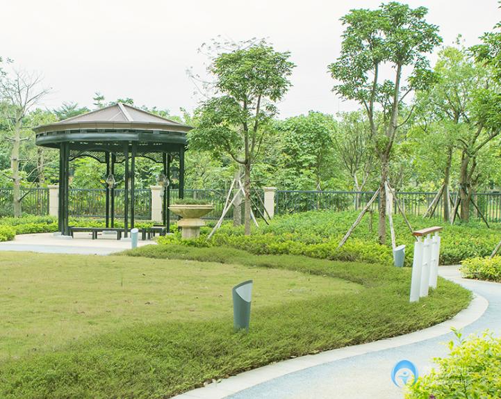 1519357842408080782.jpg 1519357842408080782.jpg