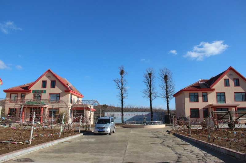 1520558775445011067.jpg 1520558775445011067.jpg