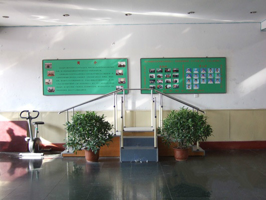 1520733225298081160.jpg 1520733225298081160.jpg