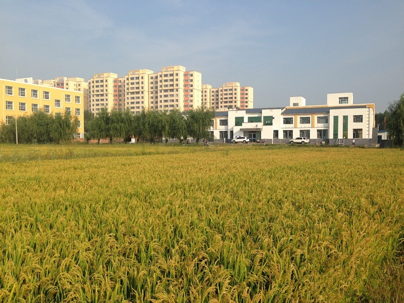 1520990640414025853.jpg 1520990640414025853.jpg