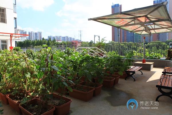 1521163786747076735.jpg 1521163786747076735.jpg