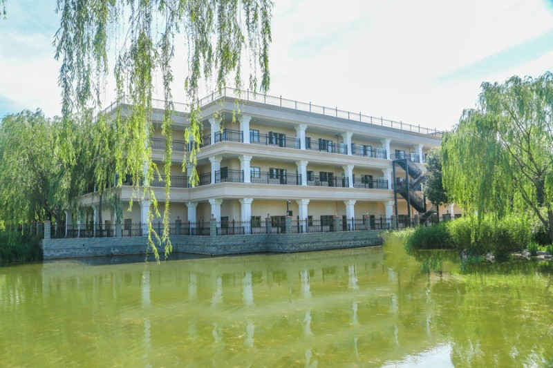 1522831463179032654.jpg 1522831463179032654.jpg