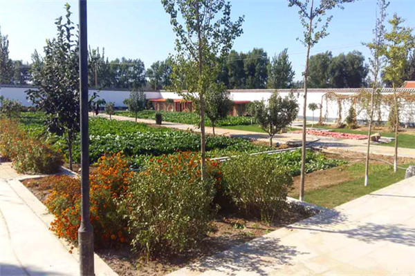 1523351781683043116.jpg 1523351781683043116.jpg