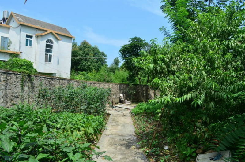 1523842571873032740.jpg 1523842571873032740.jpg