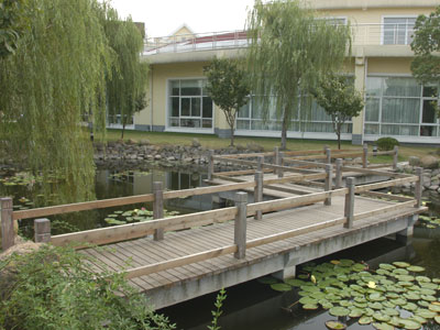 1524532701485061057.jpg 1524532701485061057.jpg