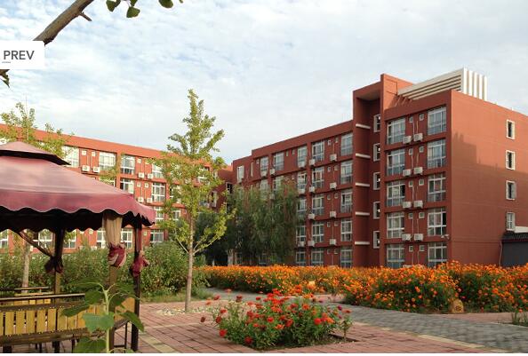 1524905615254042554.jpg 1524905615254042554.jpg