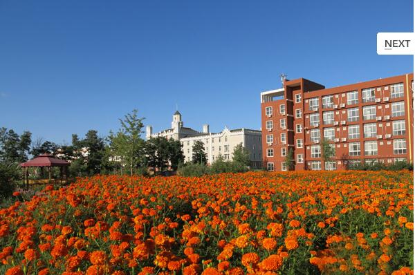 1524905630159042111.jpg 1524905630159042111.jpg