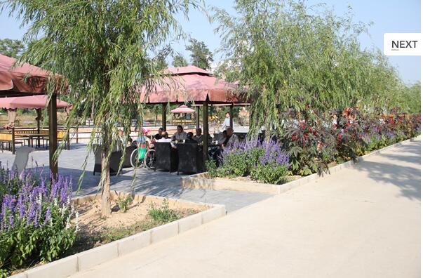 1524905644959036001.jpg 1524905644959036001.jpg