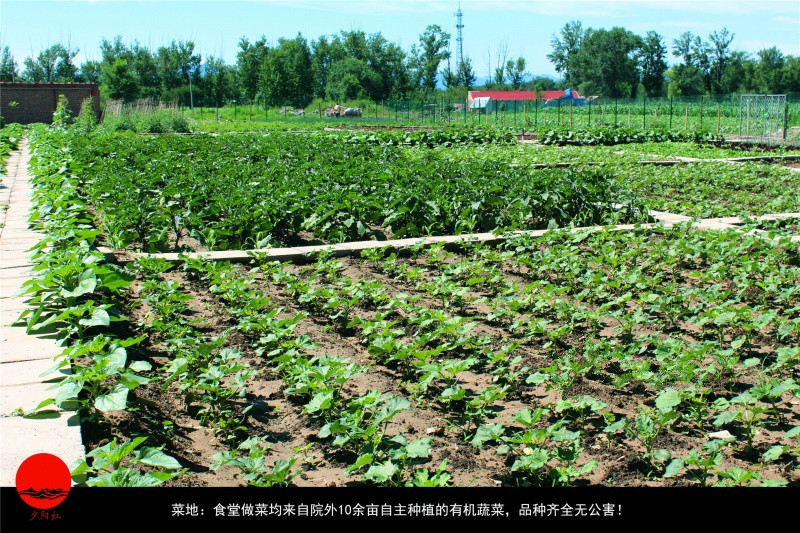 1524906026834058847.jpg 1524906026834058847.jpg