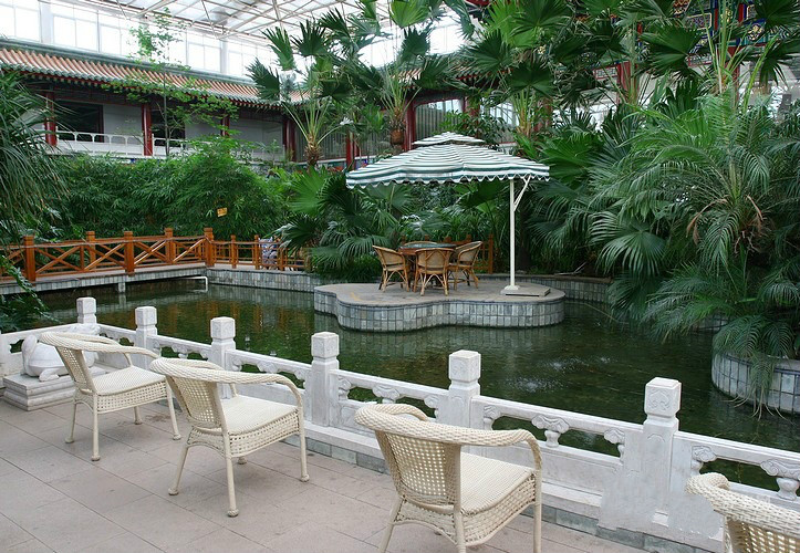 1525311843015052564.jpg 1525311843015052564.jpg