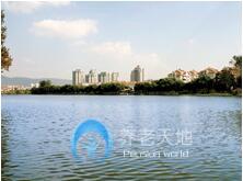 1526520767472071827.jpg 1526520767472071827.jpg