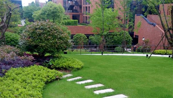 1532568029126024229.jpg 1532568029126024229.jpg