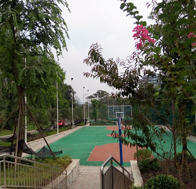 1540344929361078304.jpg 1540344929361078304.jpg