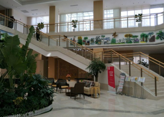 1545128010582068493.png 9.png