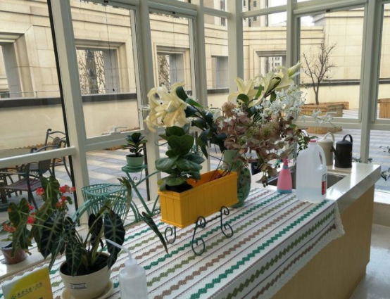 1545128276036006459.png 21.png