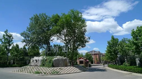 1545198852022091093.png 1.png