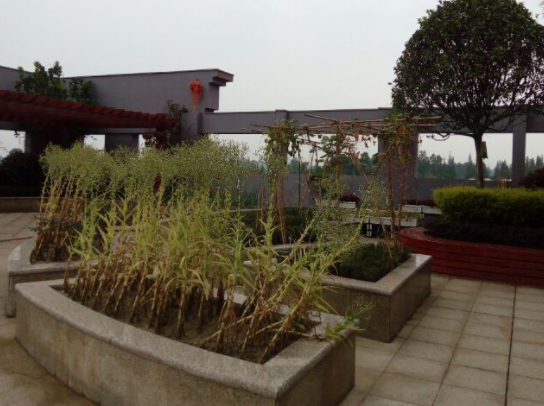 1545203271186045341.png QQ截圖20181219145125.png