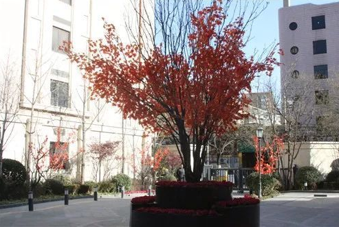 1545640728342086002.png QQ截圖20181224163415.png