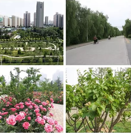 1545722019744072079.png QQ截圖20181225150821.png