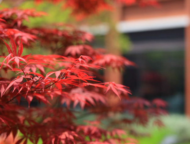 1545879559379044954.png QQ截圖20181227104549.png