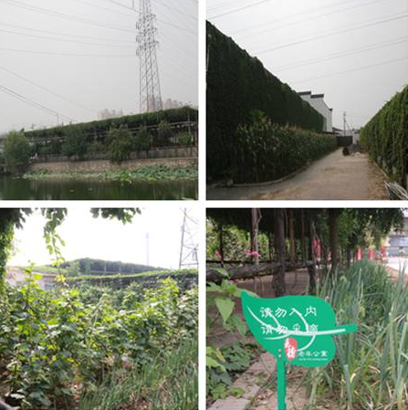 1545901203796004934.png QQ截圖20181227165649.png