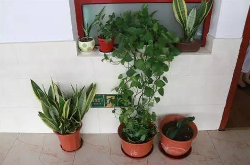 1545901431190097463.png QQ截圖20181227165902.png