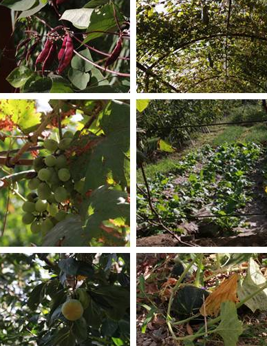 1546506817335049701.png QQ截圖20190103170920.png