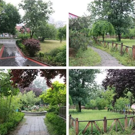 1546508037659096918.png QQ截圖20190103172952.png