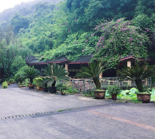 1546580526483029884.png QQ截圖20190104134124.png