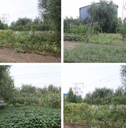 1546588431869019960.png QQ截圖20190104155012.png