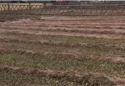 1546593337659051884.png QQ截圖20190104171120.png