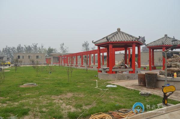 1547430112481049165.jpg 1547430112481049165.jpg