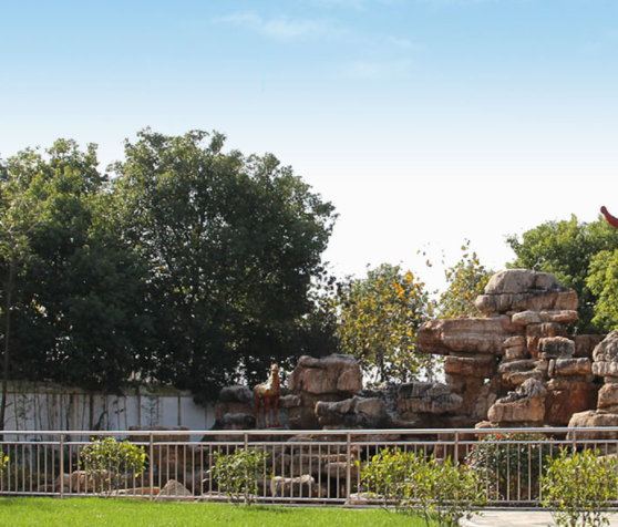 1547796281732035988.png QQ截圖20190118152327.png