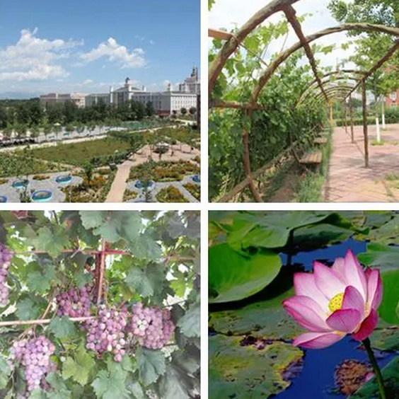 1551144354046079608.png QQ截圖20190226091902.png