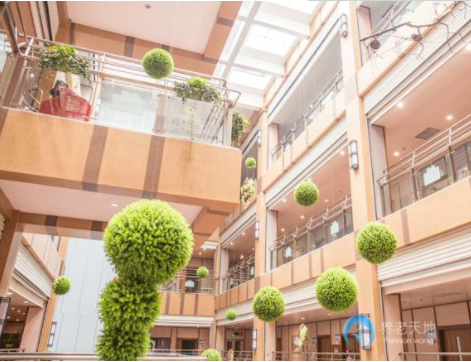 1551683206380052319.png 12.png