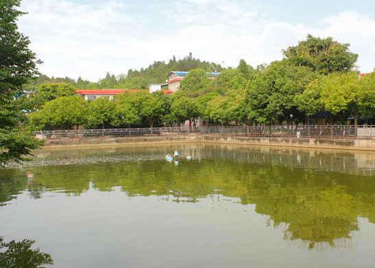 1554713736629072412.png QQ截圖20190408164949.png