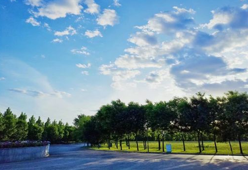 1555557789906072464.png QQ截圖20190418111703.png