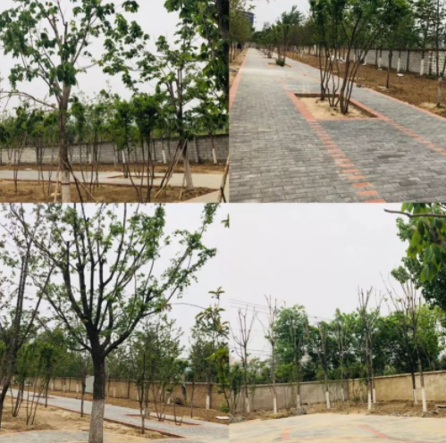 1555558015683097759.png QQ截圖20190418111818.png