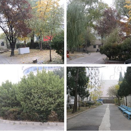 1556418363856062798.png QQ截圖20190428101958.png